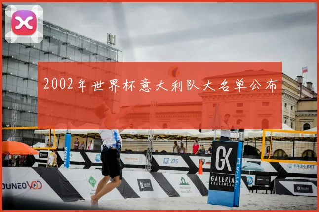 2002年世界杯意大利队大名单公布