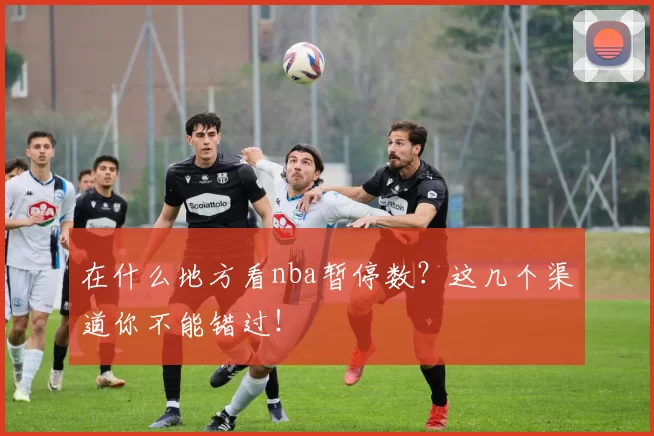在什么地方看nba暂停数?这几个渠道你不能错过!