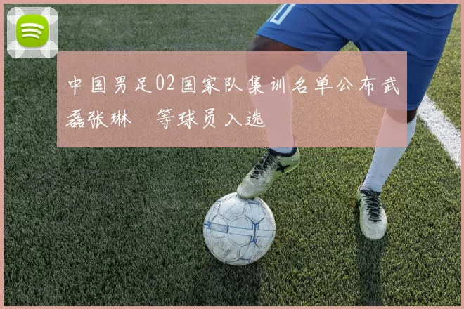 中国男足02国家队集训名单公布武磊张琳芃等球员入选