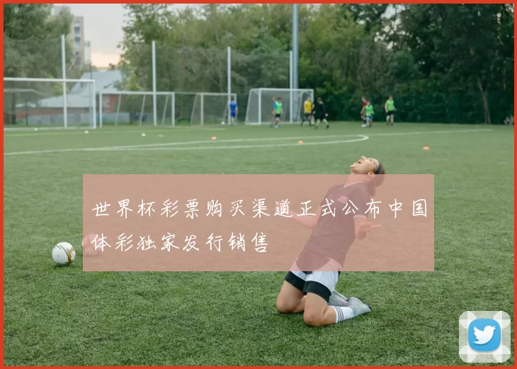 世界杯彩票购买渠道正式公布中国体彩独家发行销售