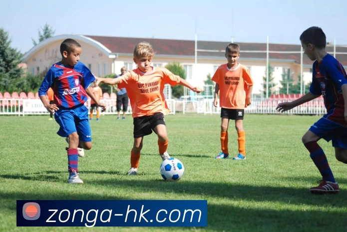 数据防护可视化